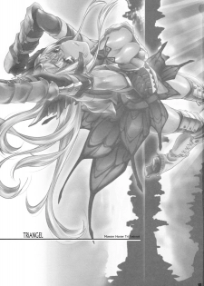 (C77) [Fujiya Honten (Thomas)] TRiANGEL (Monster Hunter) - page 2