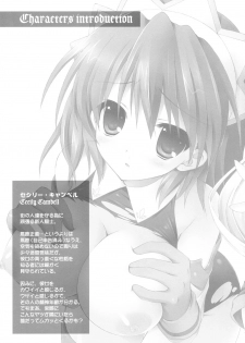 (C77) [Dragon Kitchen (Kanibasami, Sasorigatame)] Oppai Armor Shokunin no Asa wa Haya (The Sacred Blacksmith) - page 4