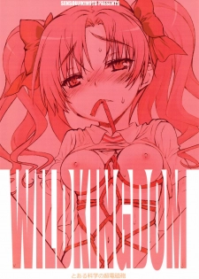 (C77) [Wild Kingdom (Sensouji Kinoto)] KuroKoto (Toaru Kagaku no Railgun) - page 20
