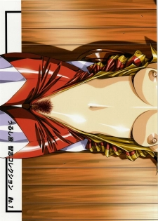 [Daisuki!! Beachkun] Aa... Natsukashi No Heroine Tachi!! Urushihara Satoshi Collection - page 2