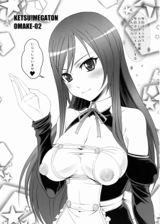(C77) [Toluene Ittokan (Pierre Norano)] KETSU! MEGATON OMAKE-02 (Various) - page 2