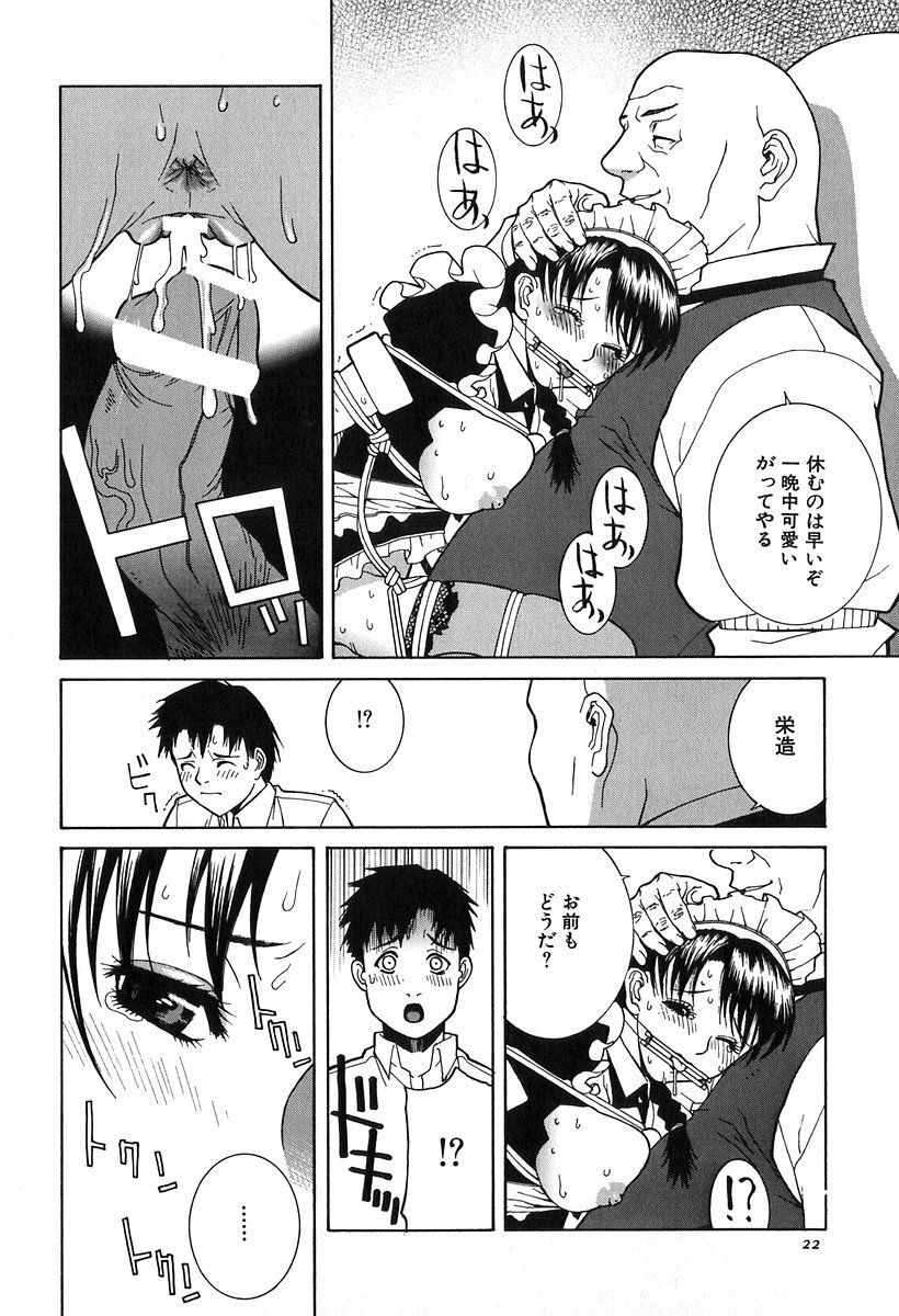 [Shinobu Tanei] Kanashiki Gangu - Sad Toy page 24 full