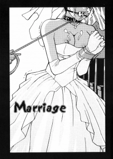 [Shinobu Tanei] Kanashiki Gangu - Sad Toy - page 29
