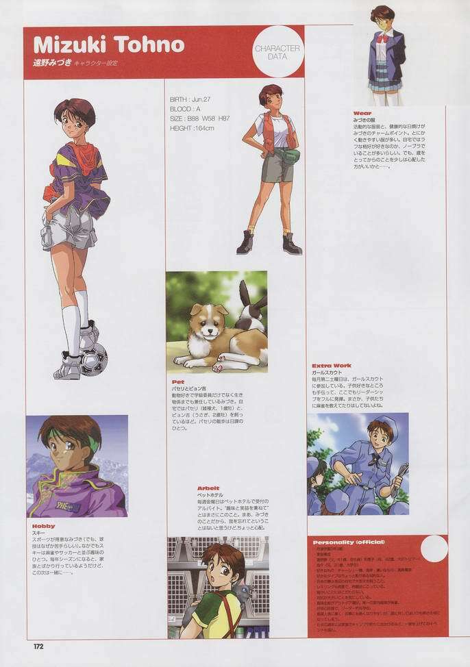 Super Real Mahjong Visual Fan Book Perfect Collection page 186 full