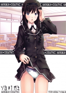 (C76) [IRODORI (SOYOSOYO)] Soyo*1 Gami (Amagami)