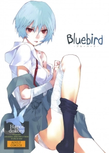 (C77) [Hapoi-dokoro (Okazaki Takeshi)] Bluebird (Neon Genesis Evangelion) [Spanish] [TCF]