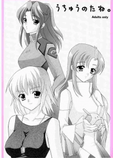 (CR33) [Teruo Haruo (Kanekiyo Miwa)] Uchu no Tane. (Gundam SEED)