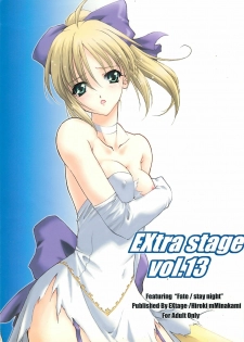 (CR35) [EXtage (Minakami Hiroki)] EXtra stage vol. 13 (Fate/stay night)