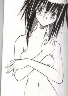 (C54) [Iwasaki Seihonsho (Iwasaki Akira)] Brew III (Outlaw Star) - page 2