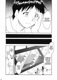 (C66) [Studio Kimigabuchi (Kimimaru)] RE-TAKE (Neon Genesis Evangelion) [Spanish] [Lord Morpheus] - page 11