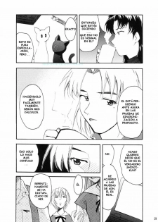 (C66) [Studio Kimigabuchi (Kimimaru)] RE-TAKE (Neon Genesis Evangelion) [Spanish] [Lord Morpheus] - page 18
