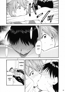 (C67) [Studio Kimigabuchi (Kimimaru)] RE-TAKE 2 (Neon Genesis Evangelion) [Spanish] [Lord Morpheus] - page 18