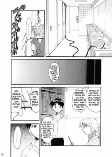 (C67) [Studio Kimigabuchi (Kimimaru)] RE-TAKE 2 (Neon Genesis Evangelion) [Spanish] [Lord Morpheus] - page 33