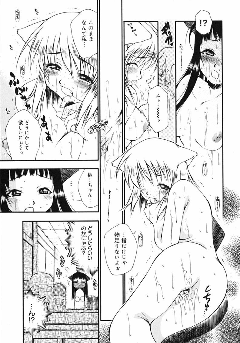 [Tachibana Toshihiro] Happy ☆ Trap page 227 full