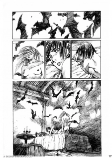 (C53) [Pornostar (Samura Hiroaki)] Succubus no Yoru | La Nuit de la Succube (Nureta Osanazuma) (Darkstalkers) [French] [A Secret Garden] - page 18