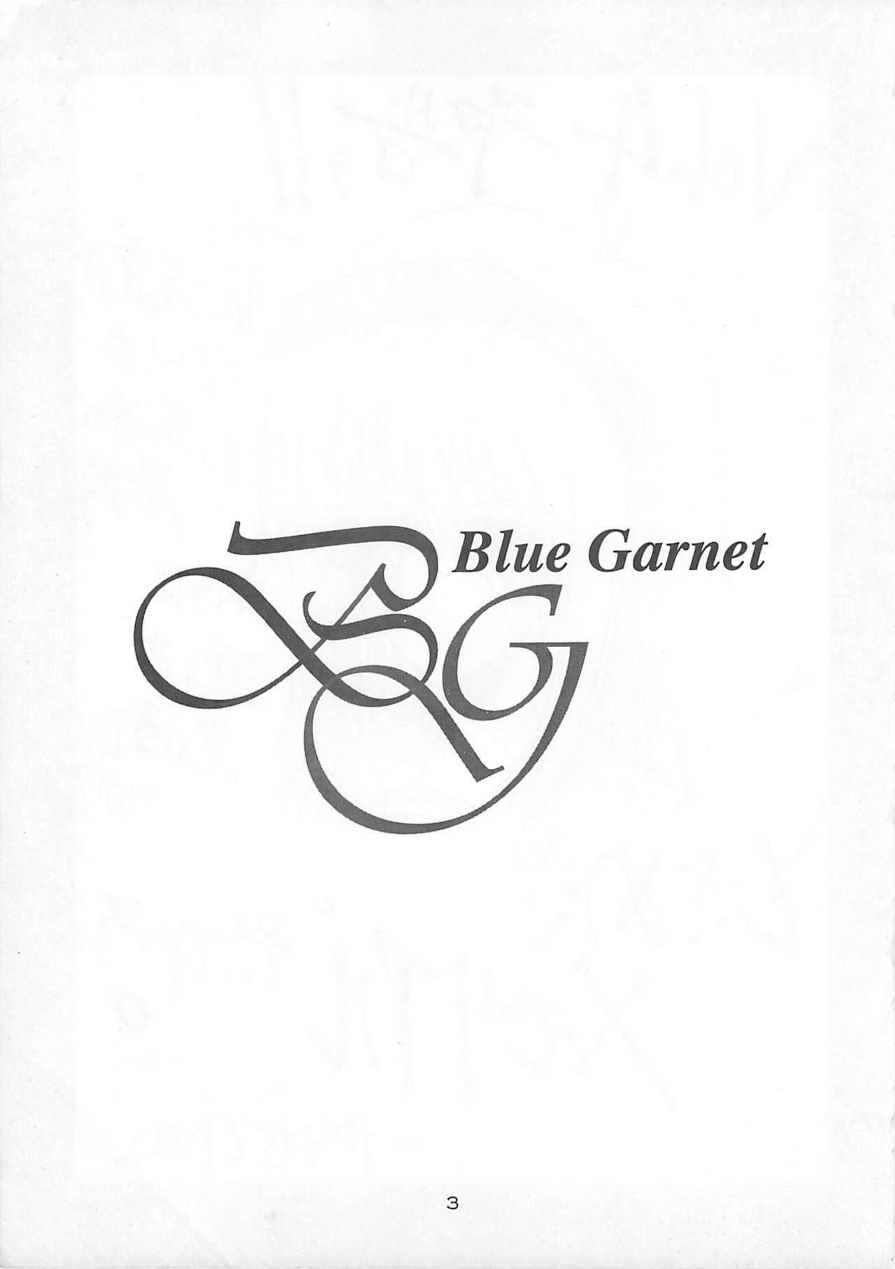 (CR21) [BLUE GARNET (Serizawa Katsumi)] Blue Garnet Vol. 03 Chirizakura (Street Fighter ZERO) page 2 full