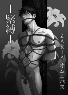 [ZARIA (Zariya Ranmaru)] ZARIA Omnibus -Kinbaku- [English] [Pandy] - page 8