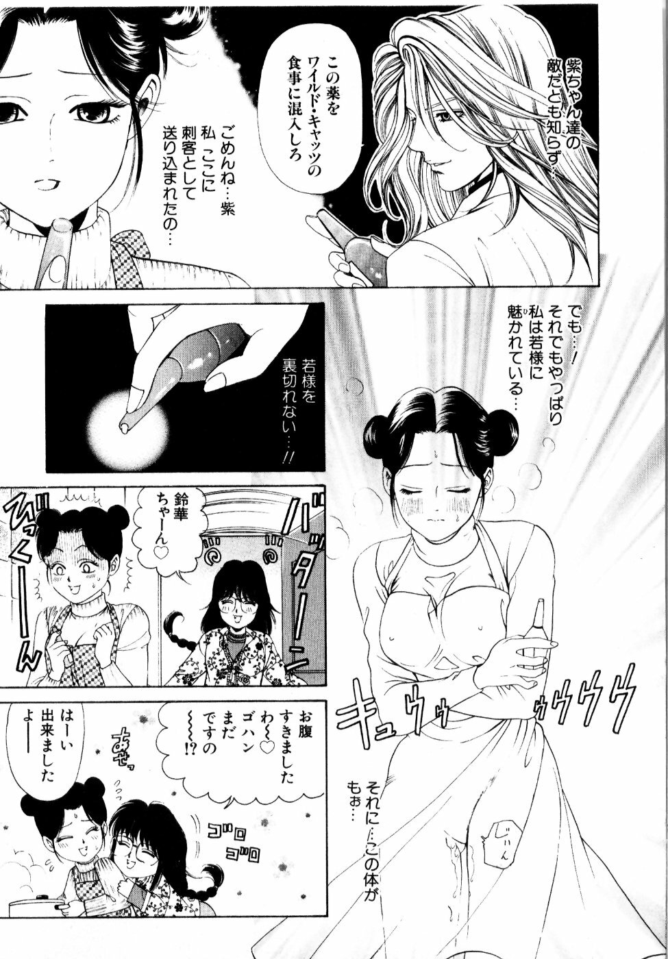 [Kobayashi Takumi] Wild Cats page 126 full