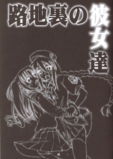 (C66) [Shimoyakedou (Ouma Tokiichi)] Rojiura no Kanojo-tachi (Tsukihime) - page 2