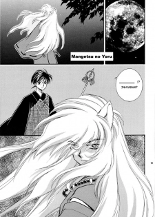 (C62) [HYPER EQUUS (You-ri)] Tsuki ni Inoru (InuYasha) [English] - page 19