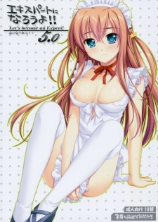 (C76) [Alpha to Yukaina Nakamatachi (Alpha)] Expert ni Narouyo!! 5.0 - Let's Become an Expert! [Chinese] [萌の空漢化社]