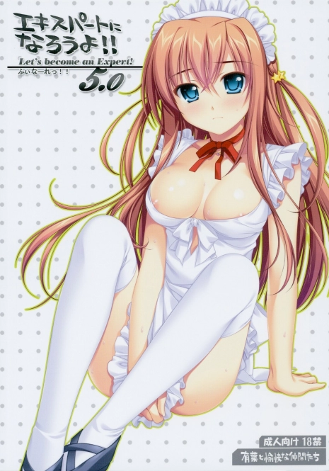 (C76) [Alpha to Yukaina Nakamatachi (Alpha)] Expert ni Narouyo!! 5.0 - Let's Become an Expert! [Chinese] [萌の空漢化社]