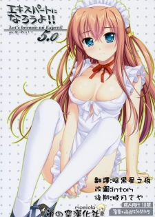 (C76) [Alpha to Yukaina Nakamatachi (Alpha)] Expert ni Narouyo!! 5.0 - Let's Become an Expert! [Chinese] [萌の空漢化社] - page 2