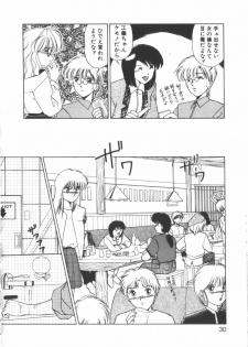 [Miyamoto Rumi] Taboo - page 29