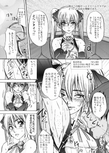(C77) [Sekai Kakumei Club (Ozawa Reido)] Mono ni Naru Mesu Buta no Kara da. (DREAM C CLUB) - page 19