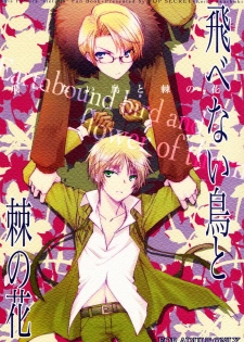 [TOP SECRET (Akatsuki Keiko)] Tobenai Tori to Toge no Hana - Earthbound bird and flower of thorn (Axis Powers Hetalia) [Spanish] [Mirus Mayhem]