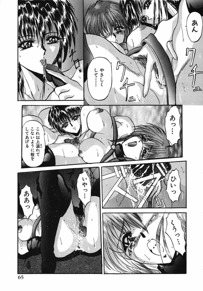 [GRIFON] Naburareta Jyunketsu page 71 full