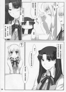 (C72) [MTSP (Jin)] Tohsaka-ke no Kakei Jijou 3 (Fate/stay night) [Chinese] - page 28