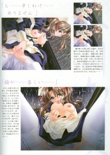 [CARNELIAN] Kao no Nai Tsuki Visual Fanbook (Kao no Nai Tsuki / Moonlight Lady) - page 30