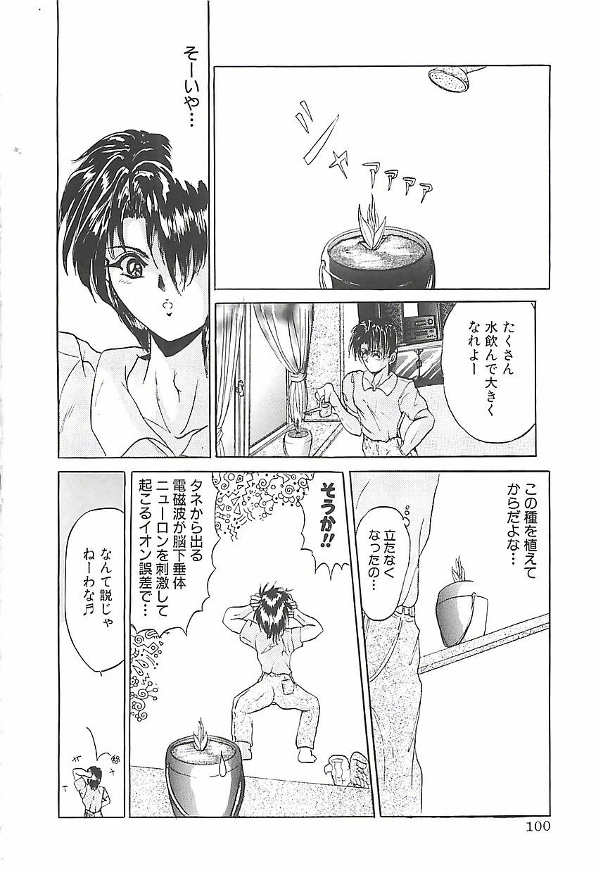 [GRIFON] Birei Tousaku page 103 full