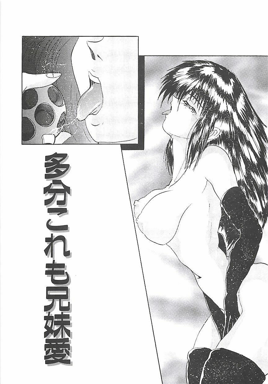 [GRIFON] Birei Tousaku page 84 full