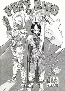 (C49) [Oiwaidou (Iwasaki Tatsuya)] PREY OF BIRD (Dragon Ball Z)