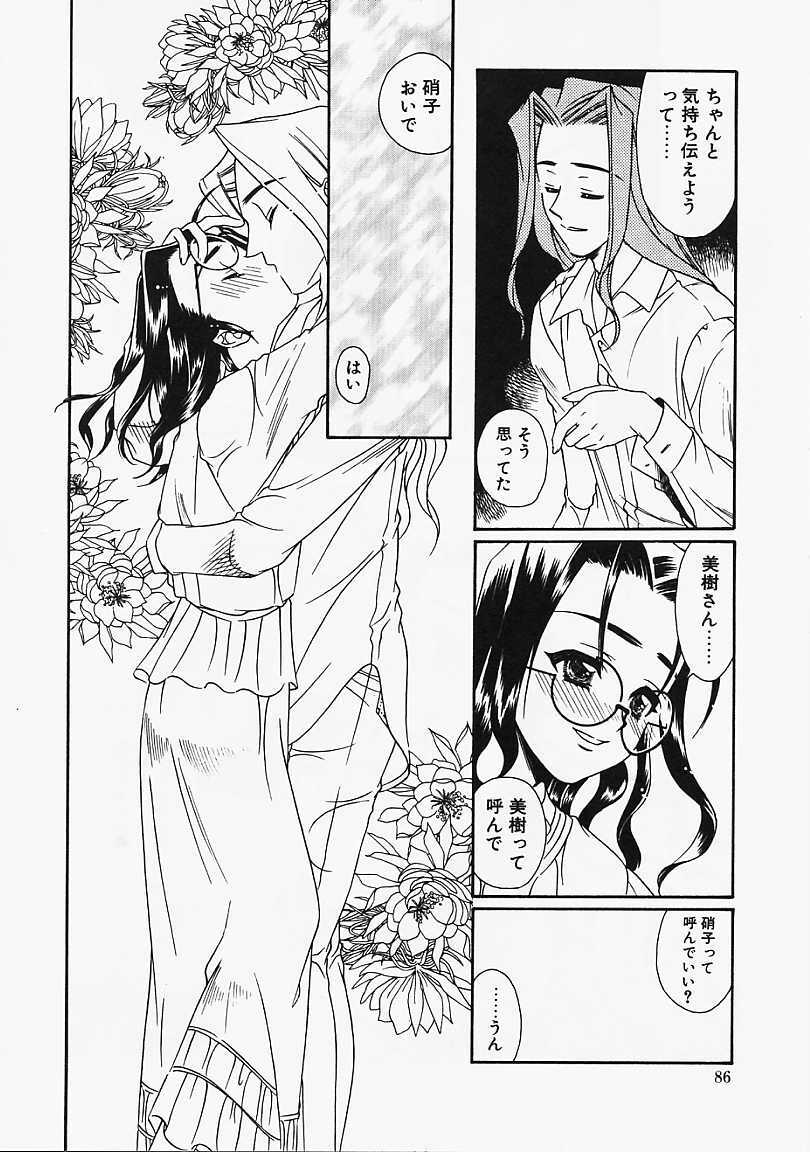 [Naruse Hirofumi] Glass no Tobira - A Door of Glass page 84 full