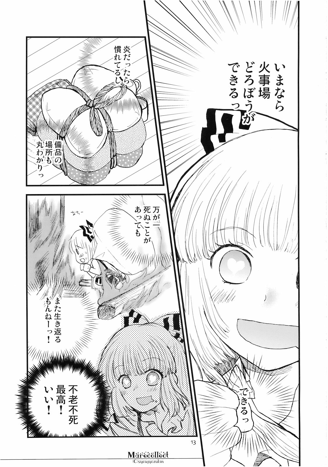 (C74) [Shoujo Zukin (Hatomugi Munmun)] Marecollect (Touhou Project) page 13 full