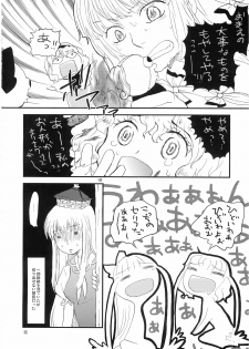 (C74) [Shoujo Zukin (Hatomugi Munmun)] Marecollect (Touhou Project) - page 18