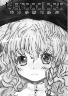 (C74) [Shoujo Zukin (Hatomugi Munmun)] Marecollect (Touhou Project) - page 3