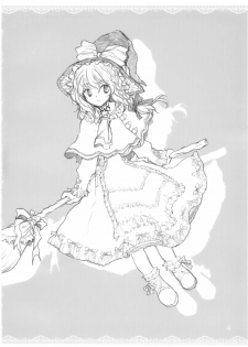 (C74) [Shoujo Zukin (Hatomugi Munmun)] Marecollect (Touhou Project) - page 4