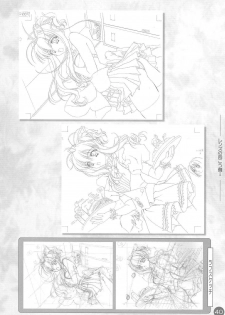 (CR30) [Carnelian] CARNELIAN Rough Gengashuu Vol. 1 - page 41