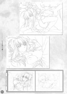 (CR30) [Carnelian] CARNELIAN Rough Gengashuu Vol. 1 - page 46