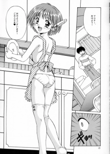 (C57) [Mizumo Club (Mizushiro Takuya)] APRON SHORT CUT (ToHeart) - page 14