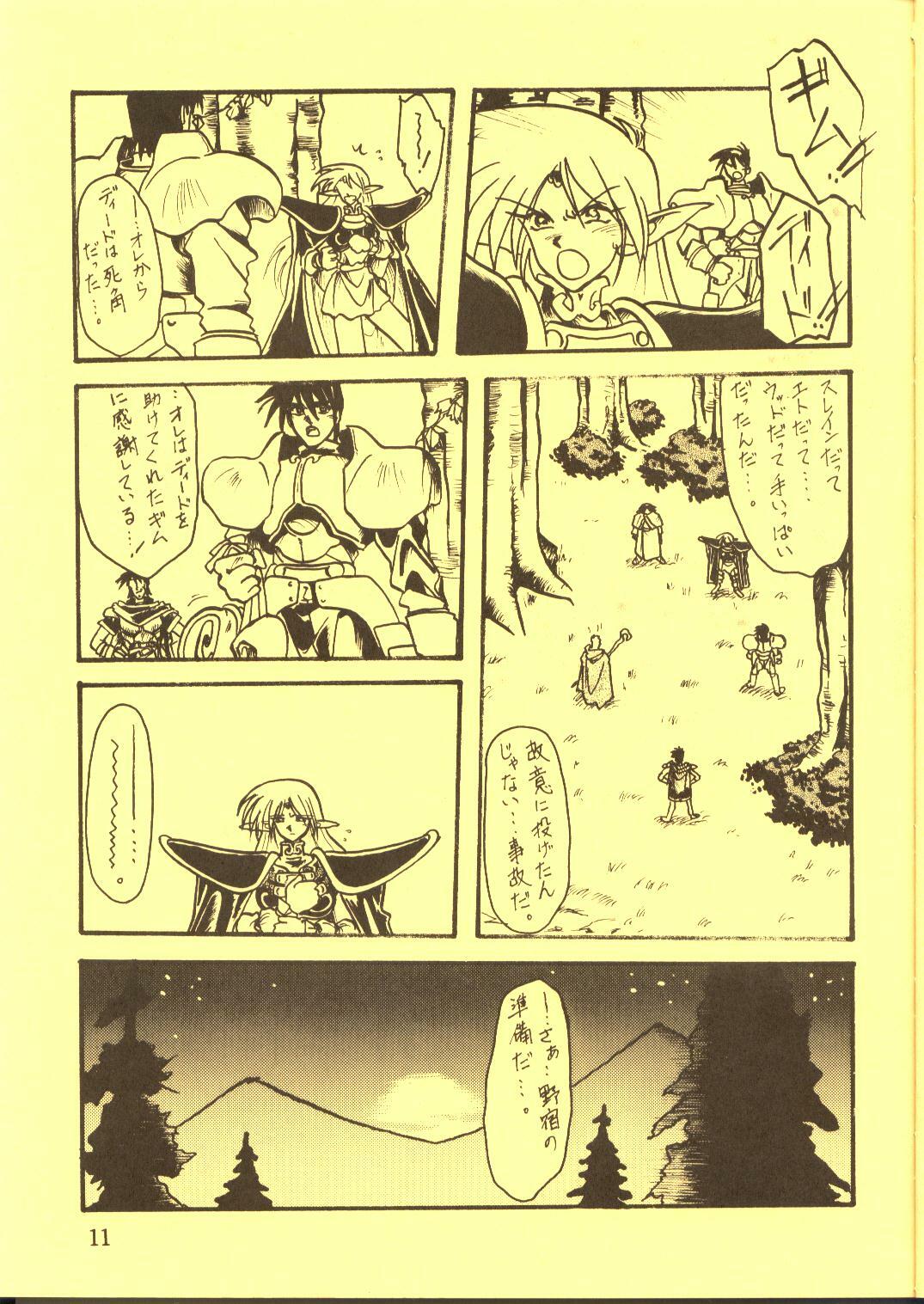 [Waku Waku Doubutsuen, Neko Apron (Various)] DIEDLIT 2 (Record of Lodoss War) page 10 full