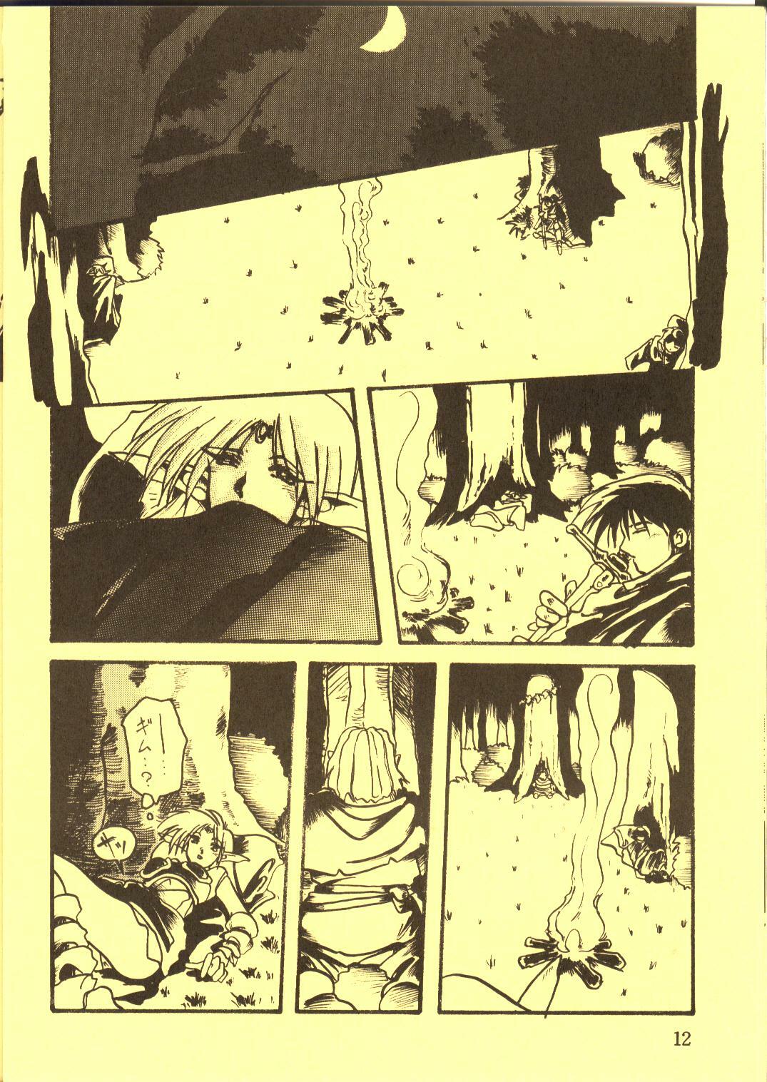 [Waku Waku Doubutsuen, Neko Apron (Various)] DIEDLIT 2 (Record of Lodoss War) page 11 full