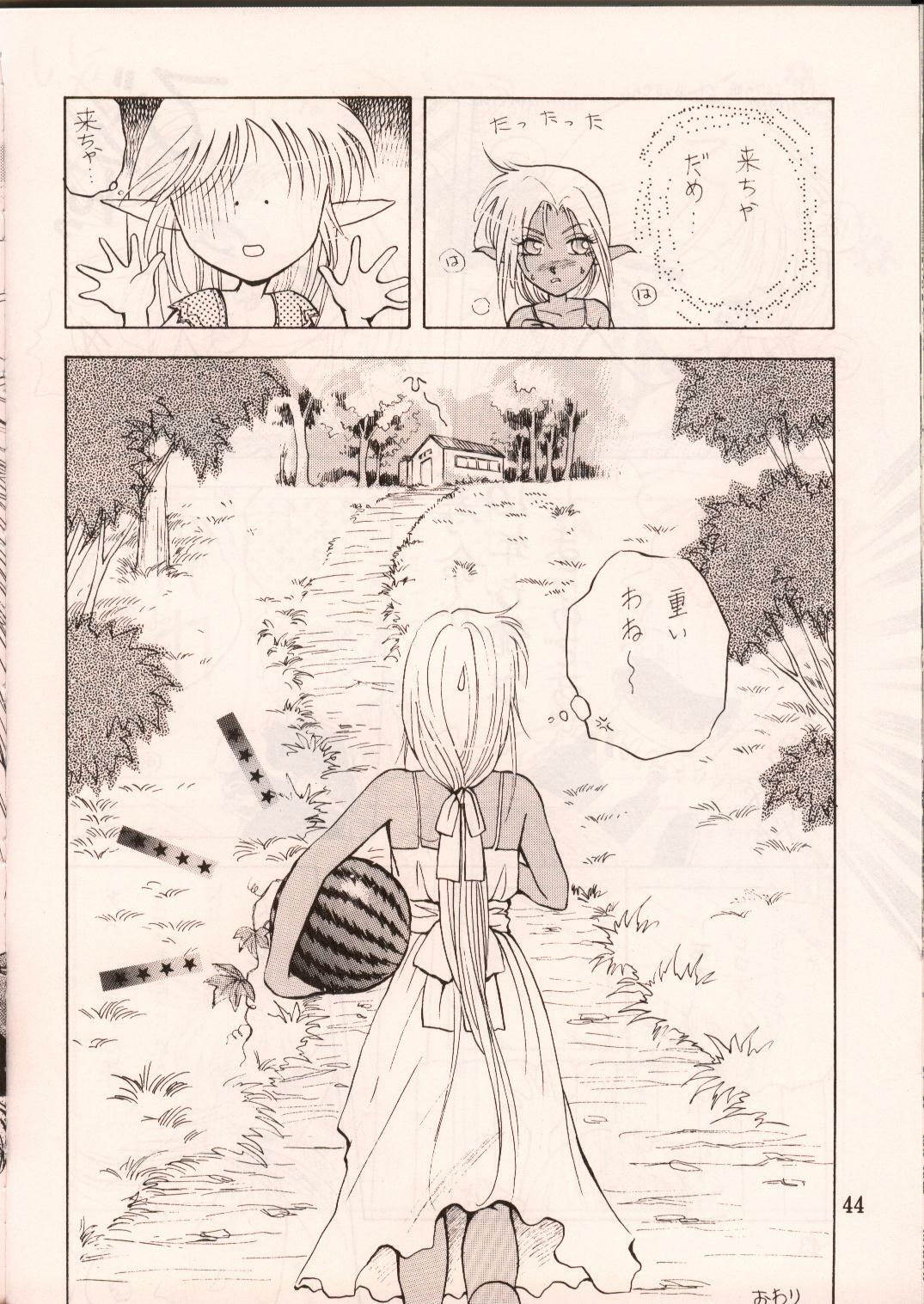 [Waku Waku Doubutsuen, Neko Apron (Various)] DIEDLIT 2 (Record of Lodoss War) page 43 full