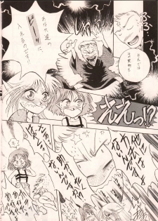 [Waku Waku Doubutsuen, Neko Apron (Various)] DIEDLIT 2 (Record of Lodoss War) - page 39