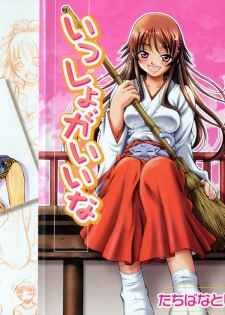 [Tachibana Toshihiro] Issho ga ii na