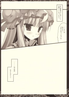 (C77) [D.N.A.Lab. (Miyasu Risa)] Lethal Dose (Touhou Project) - page 24